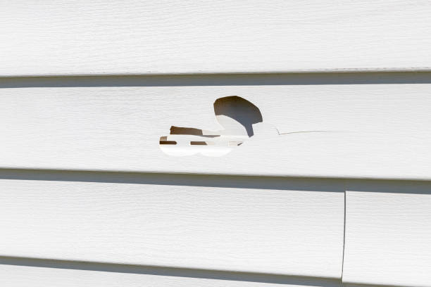 Trusted Lake Camelot, IL Siding Services Experts